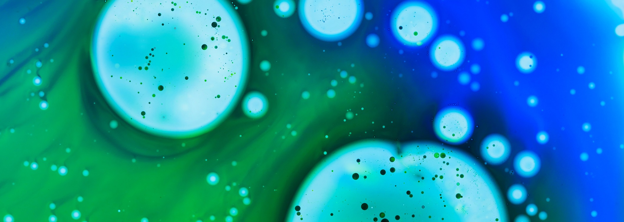 微生物和細(xì)菌